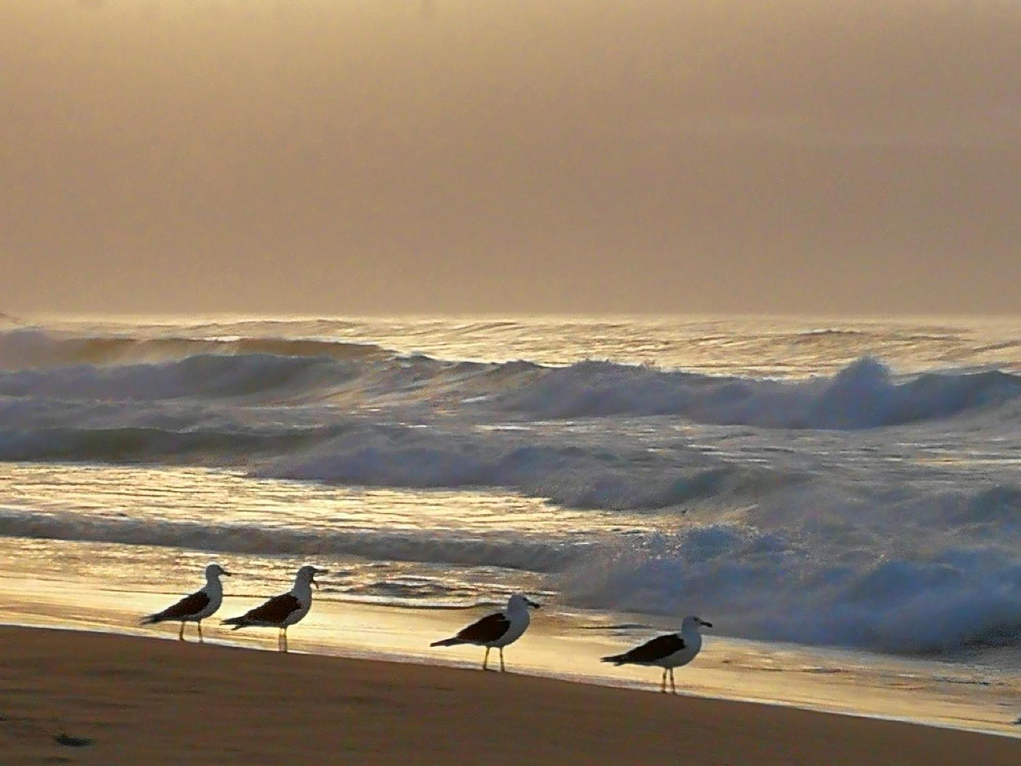 Jojo'S Bnb Mossel Bay Exterior foto